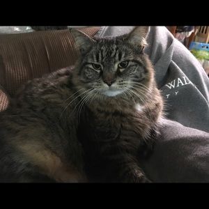 Meet your Posher, Kealy